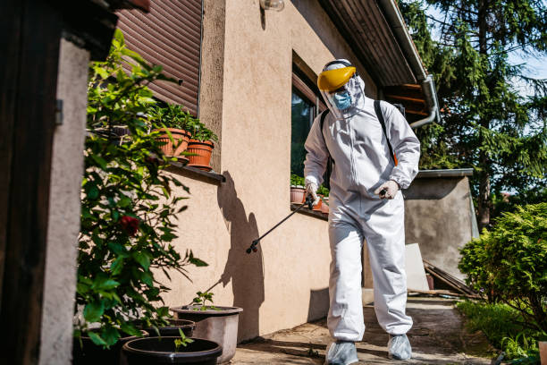 Best Pest Prevention Services  in Ruidoso, NM