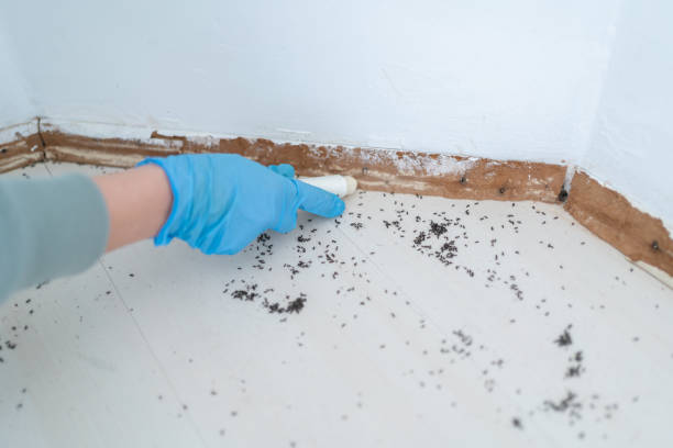 Ruidoso, NM Pest Control Company
