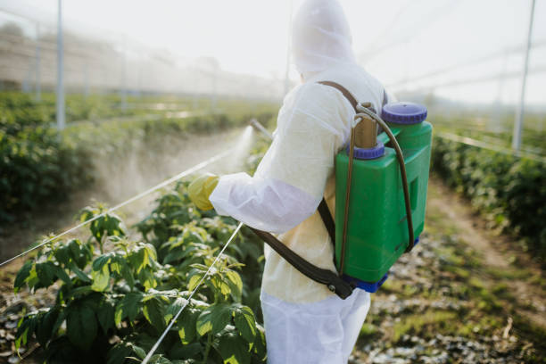 Best Pest Prevention Services  in Ruidoso, NM
